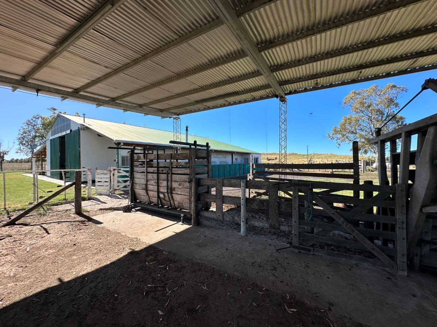 Campo  en Venta en Gil,  Coronel Dorrego - Bahía Blanca Propiedades | SITIO OFICIAL l