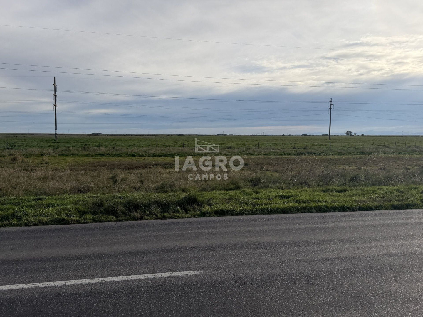 Campo  en Venta en Ruta 51,  Bahía Blanca - Bahía Blanca Propiedades | SITIO OFICIAL l