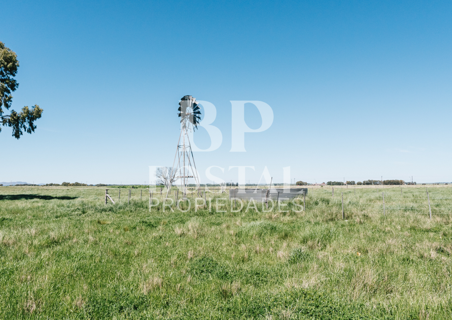Campo  en Venta en MALVINAS Y TIERRA DEL FUEGO, SAAVEDRA,  Saavedra - Bahía Blanca Propiedades | SITIO OFICIAL l