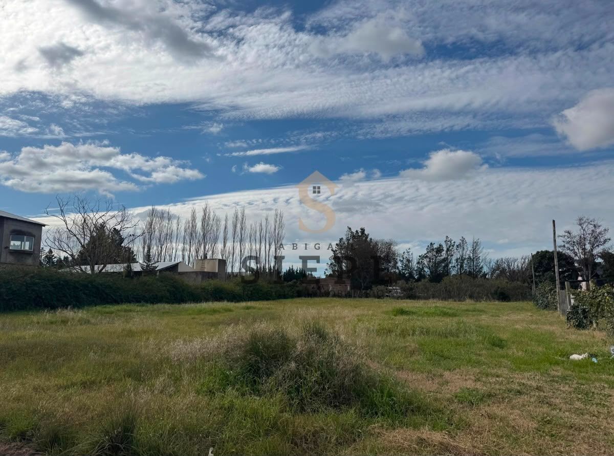 Terreno en Venta en Ciudad De Cali, Paihuen, Bahía Blanca - Bahía Blanca Propiedades | SITIO OFICIAL l