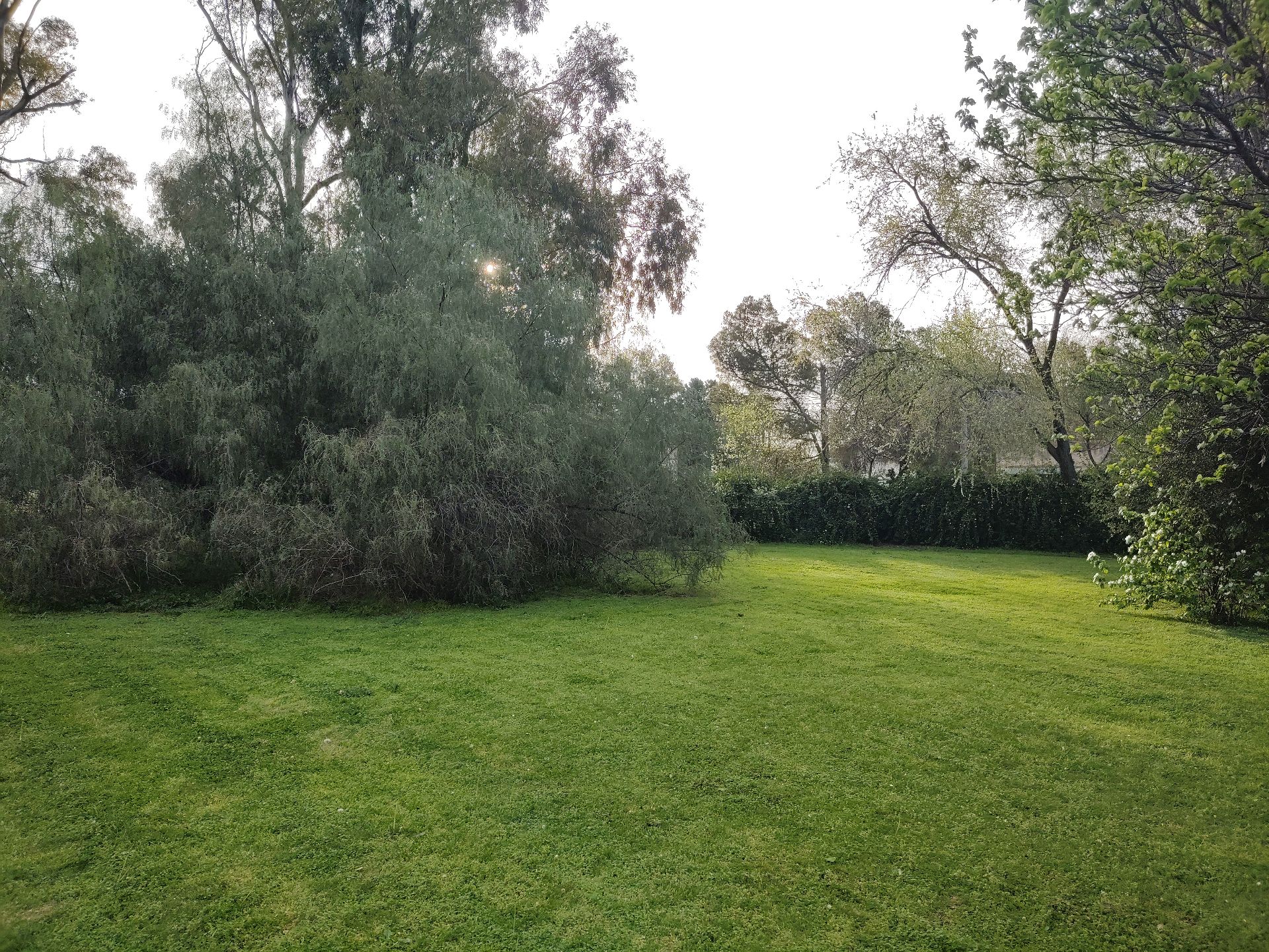 Terreno en Venta en Milun Y Calquin, Patagonia, Bahía Blanca - Bahía Blanca Propiedades | SITIO OFICIAL l