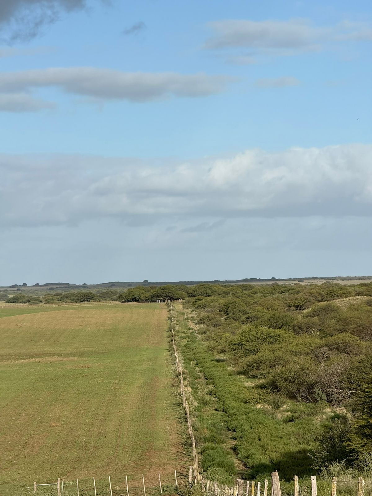 Campo  en Venta en A 18 Kilómetros De Algarrobo,  Villarino - Bahía Blanca Propiedades | SITIO OFICIAL l