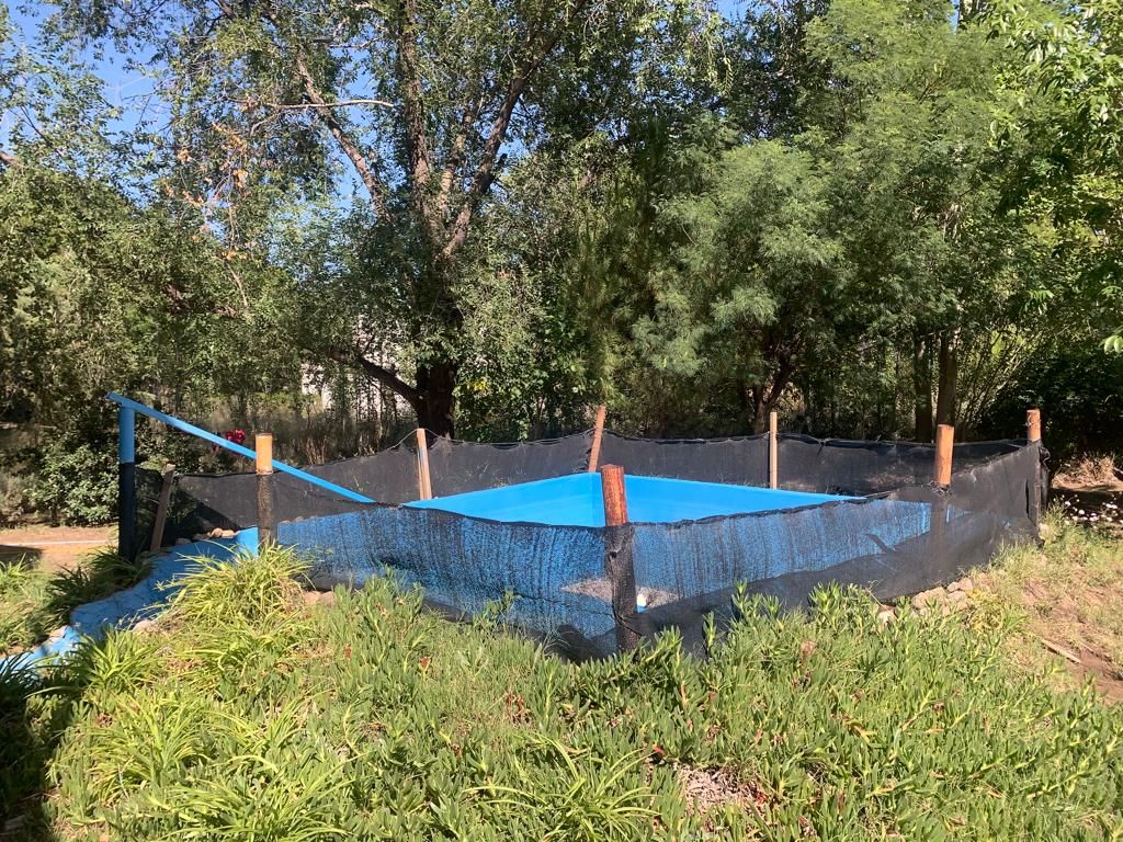 Casa en Venta en CALLE 4 Y CALLE 5,  Pehuen Co - Bahía Blanca Propiedades | SITIO OFICIAL l