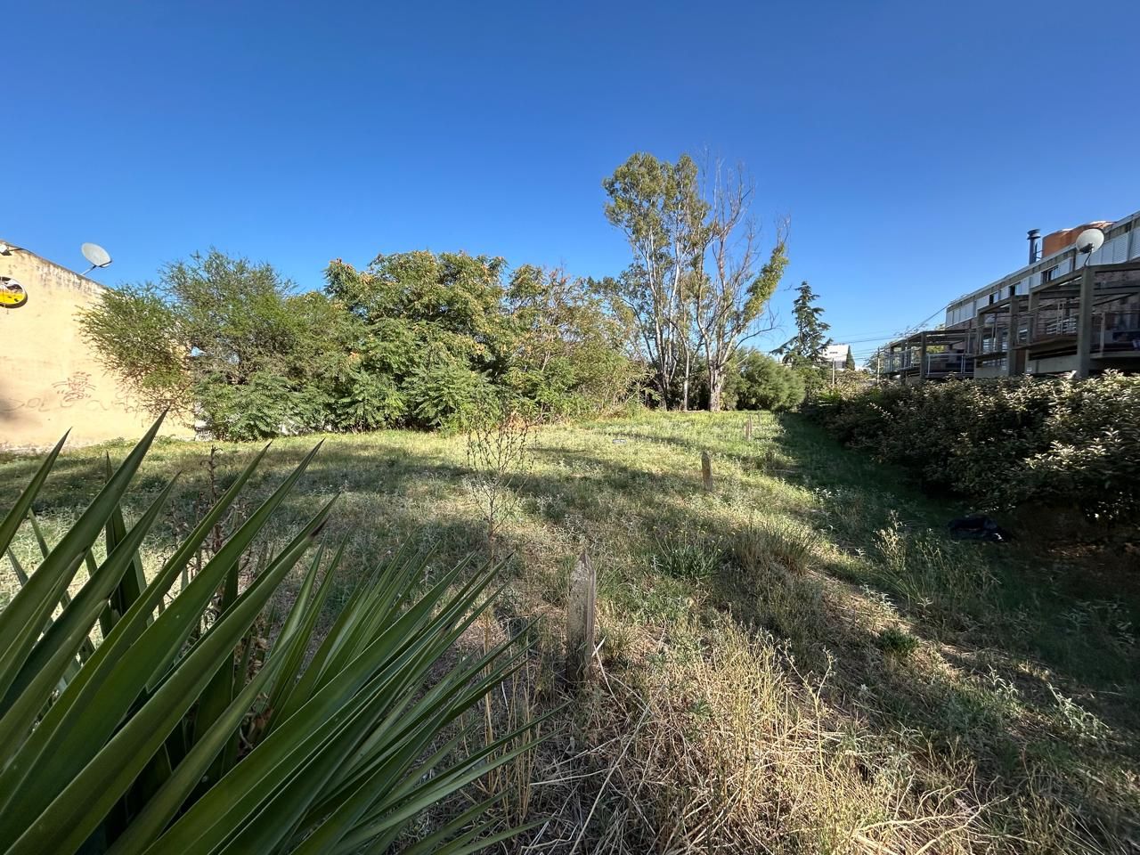Terreno en Venta en Florida 1200, Paseo de la Mujer, Bahía Blanca - Bahía Blanca Propiedades | SITIO OFICIAL l
