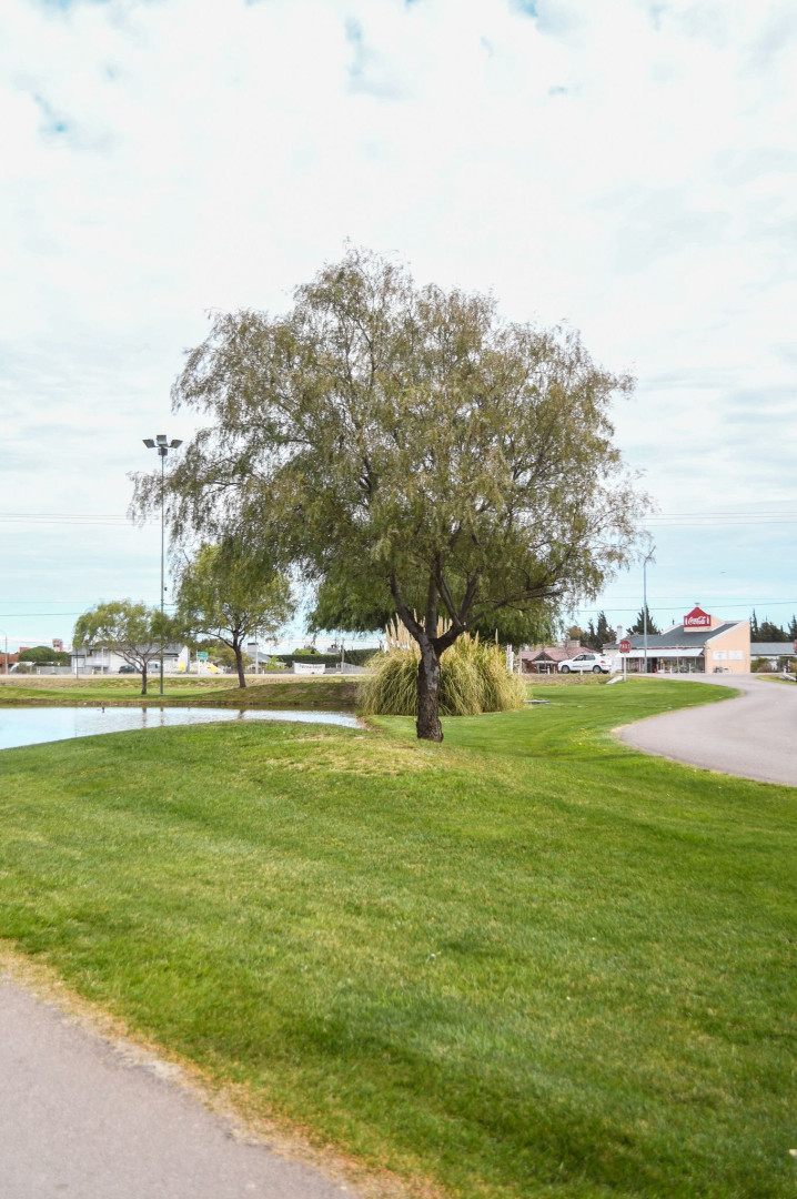 Terreno en Venta en Calle 6, Bosque Alto, Bahía Blanca - Bahía Blanca Propiedades | SITIO OFICIAL l
