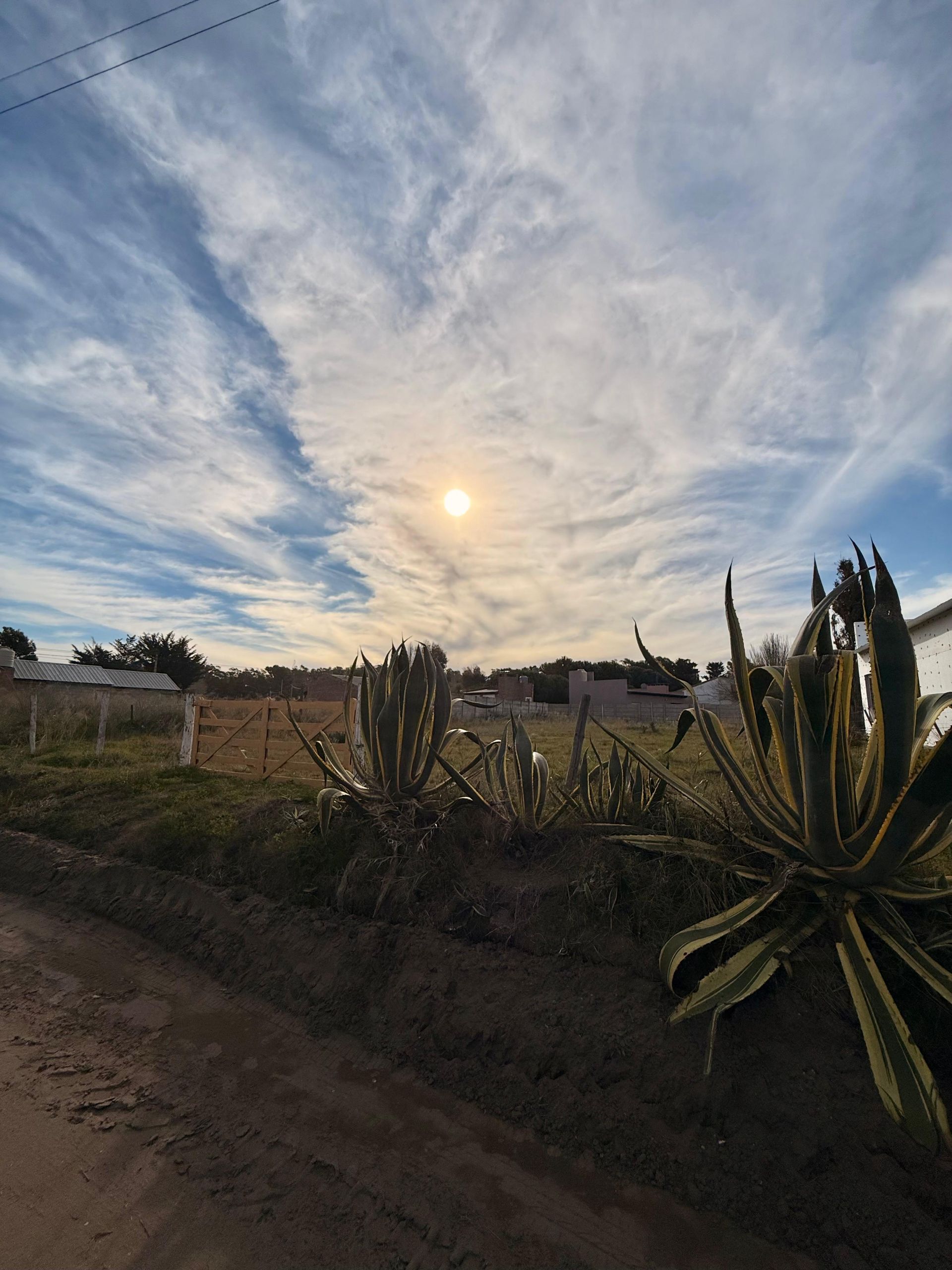 Terreno en Venta en CHASCOMUS 700, Dufaur, Monte Hermoso - Bahía Blanca Propiedades | SITIO OFICIAL l