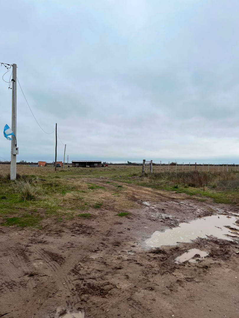 Campo  en Venta en Ruta 3 Klm 704,  Bahía Blanca - Bahía Blanca Propiedades | SITIO OFICIAL l