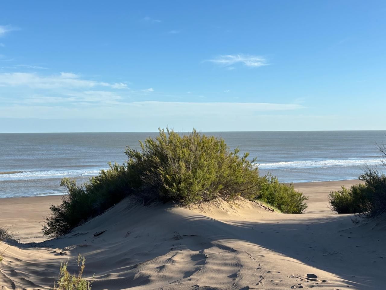 Terreno en Venta en Sauce Grande, El Sauce, Monte Hermoso - Bahía Blanca Propiedades | SITIO OFICIAL l