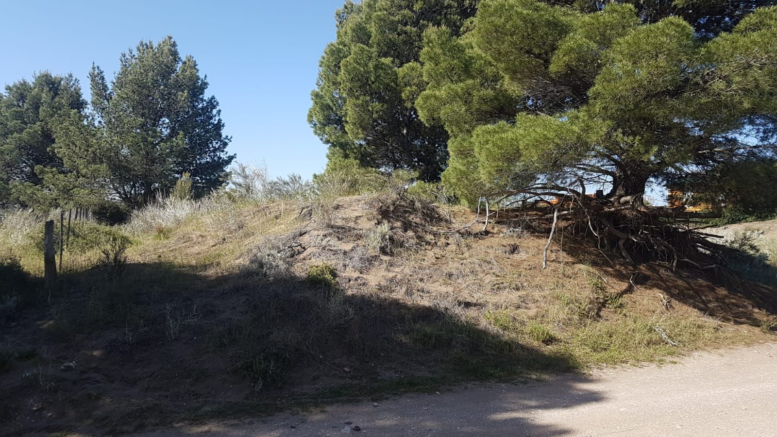 Terreno en Venta en El Sauce, El Sauce, Monte Hermoso - Bahía Blanca Propiedades | SITIO OFICIAL l