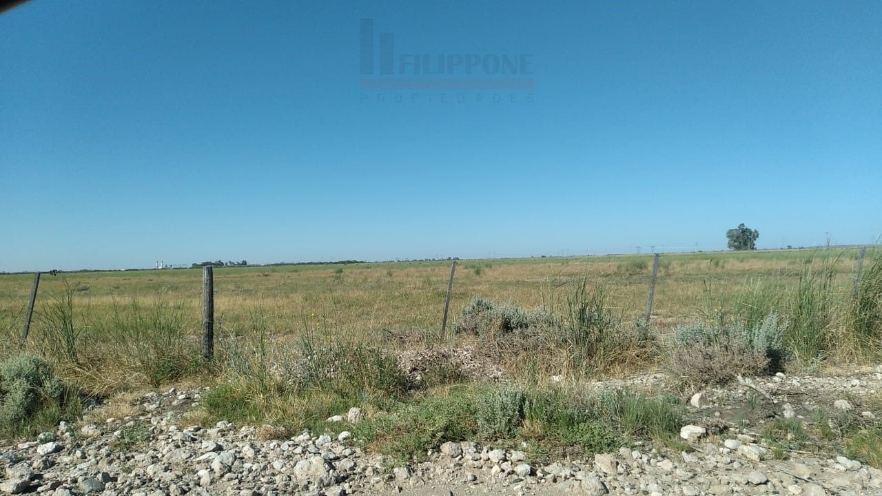 Campo  en Venta en Ruta Nacional 35 Km15,  Bahía Blanca - Bahía Blanca Propiedades | SITIO OFICIAL l