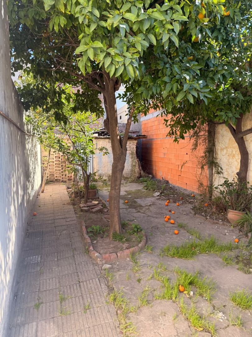 Casa en Alquiler en Zapiola 812, Universitario, Bahía Blanca - Bahía Blanca Propiedades | SITIO OFICIAL l