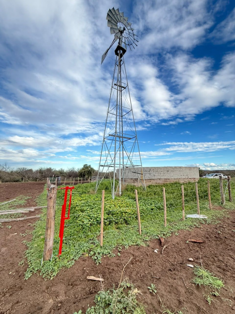 Campo  en Venta   Medanos - Bahía Blanca Propiedades | SITIO OFICIAL l