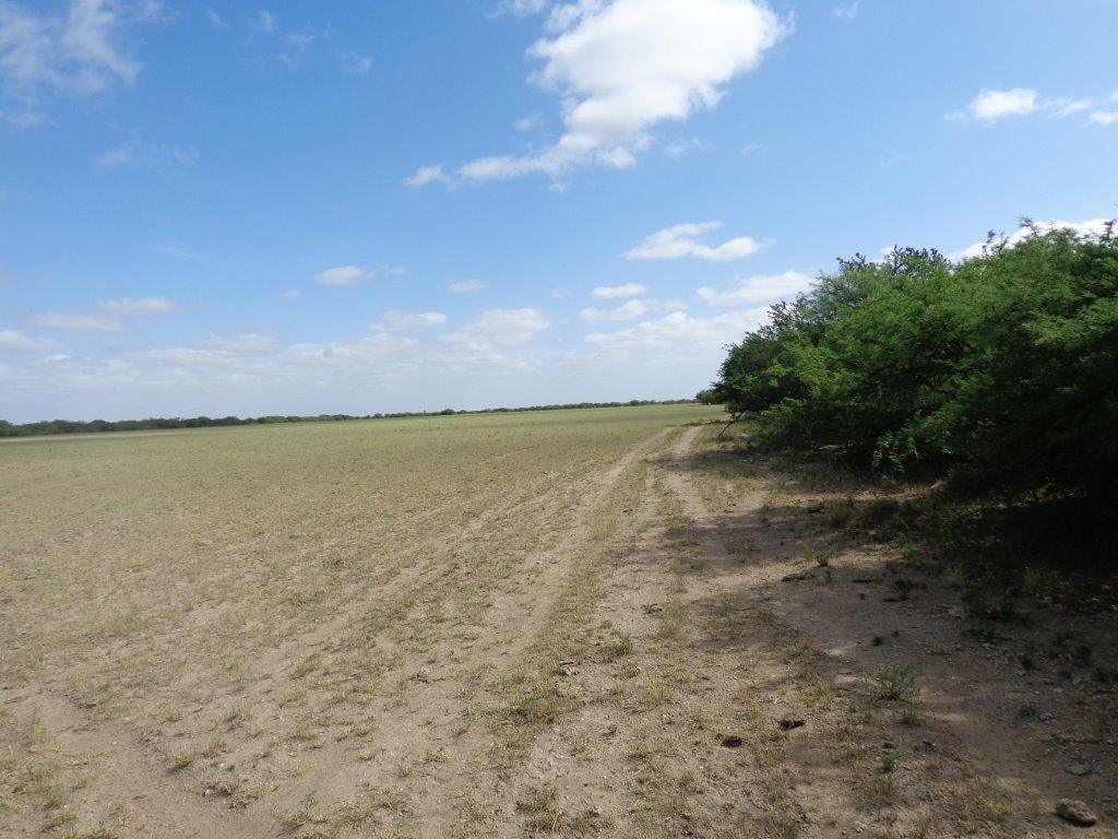 Campo  en Venta en Algarrobo Buenos Aires,  Algarrobo - Bahía Blanca Propiedades | SITIO OFICIAL l