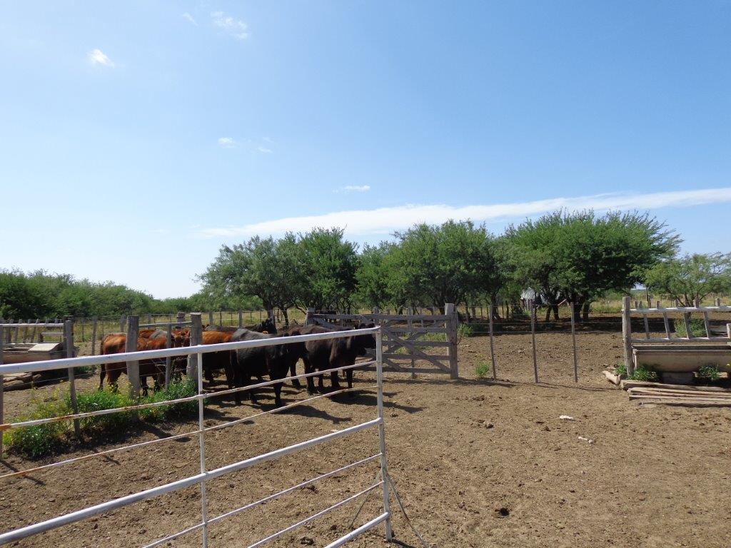 Campo  en Venta en Campo En Algarrobo,  Bahía Blanca - Bahía Blanca Propiedades | SITIO OFICIAL l
