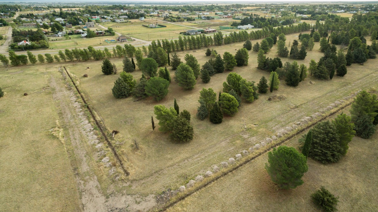 Terreno en Venta en Ruta 33 Km7.5,  Bahía Blanca - Bahía Blanca Propiedades | SITIO OFICIAL l