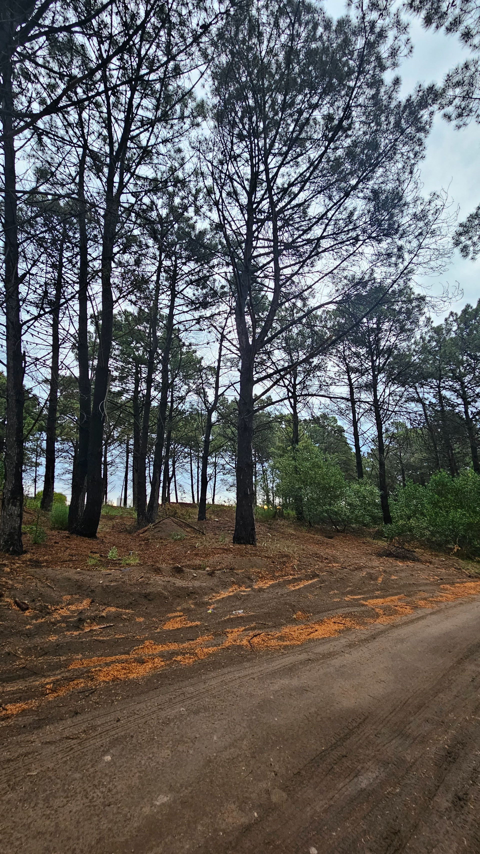 Terreno en Venta en Maipu Y Las Martinetas,  Monte Hermoso - Bahía Blanca Propiedades | SITIO OFICIAL l