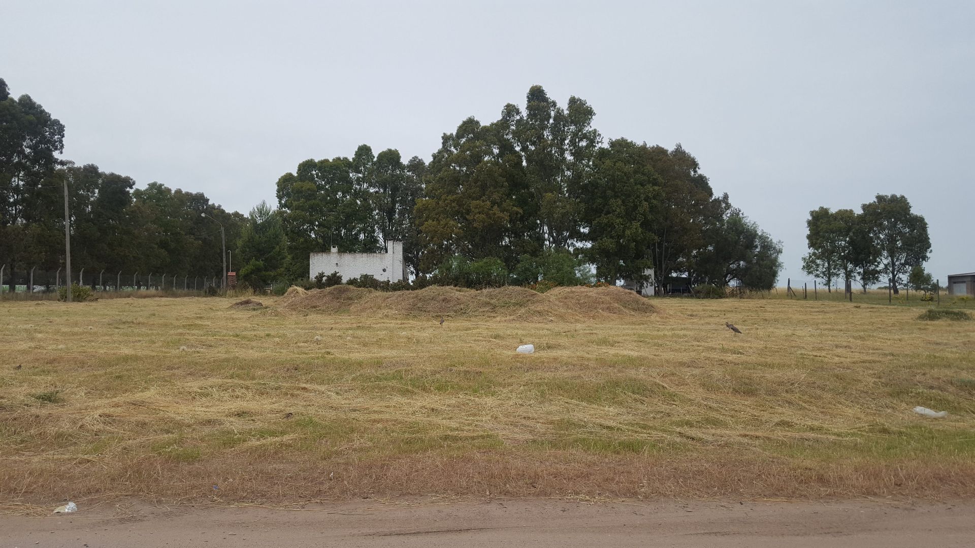 Terreno en Venta en Empleados De Comercio, Los Horneros, Bahía Blanca - Bahía Blanca Propiedades | SITIO OFICIAL l