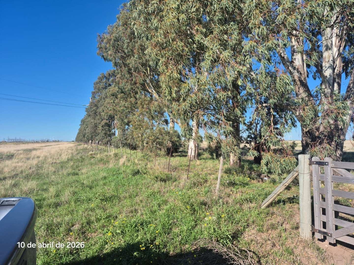 Campo  en Venta en Ruta 51 Km 722,  Bahía Blanca - Bahía Blanca Propiedades | SITIO OFICIAL l