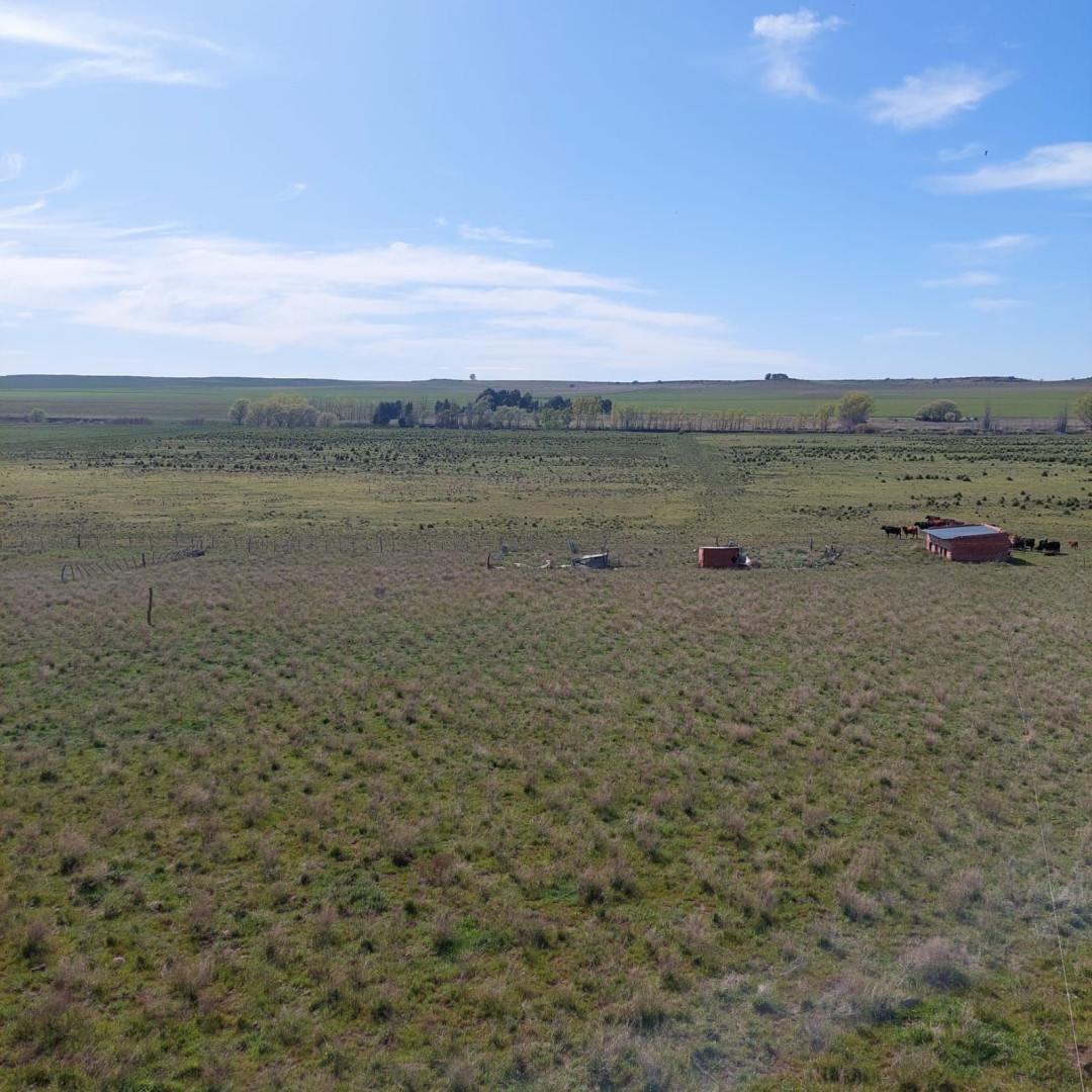 Campo  en Venta en Ruta 35,  Tornquist - Bahía Blanca Propiedades | SITIO OFICIAL l
