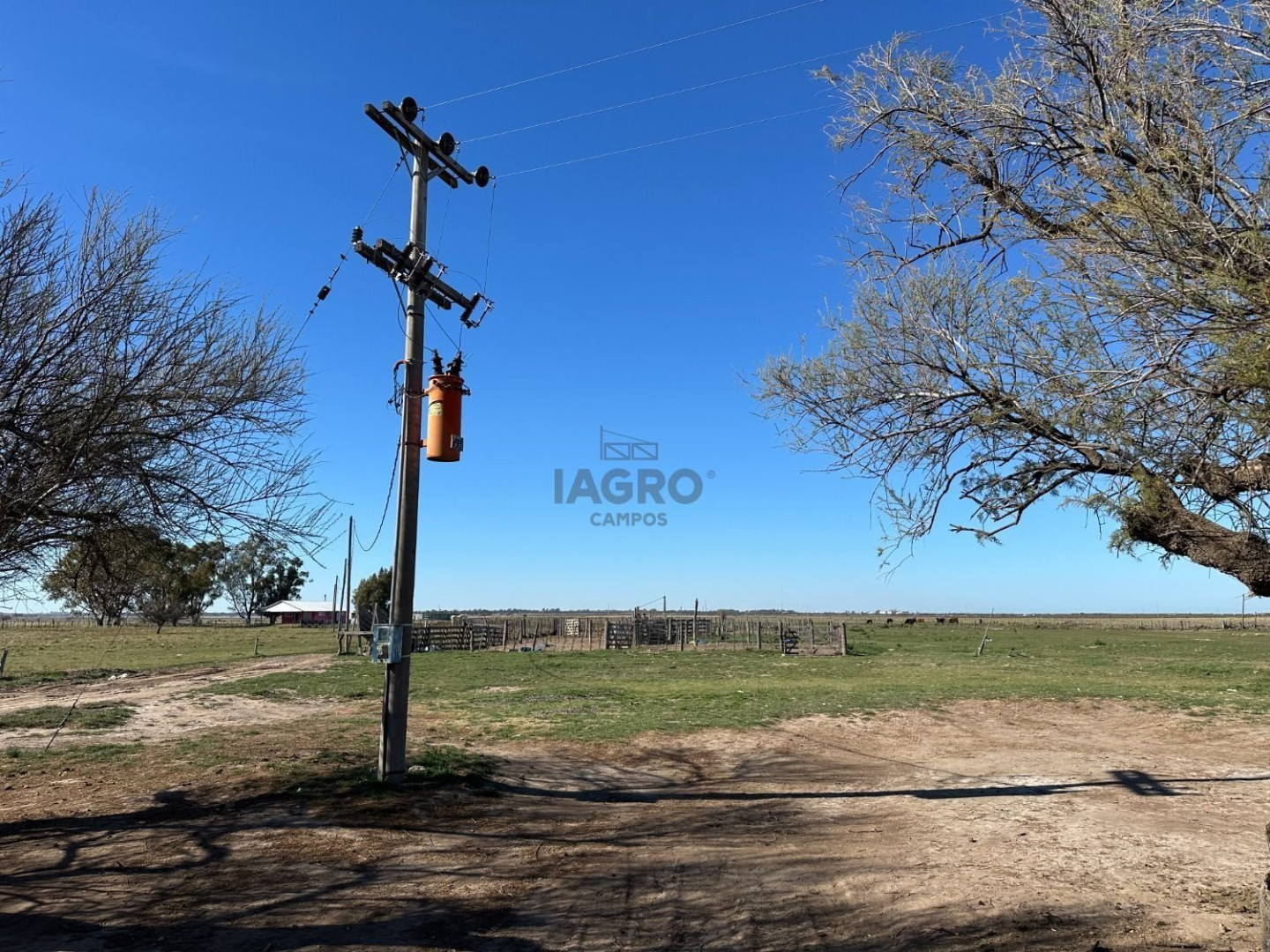 Campo  en Venta en Bahia Blanca,  Bahía Blanca - Bahía Blanca Propiedades | SITIO OFICIAL l