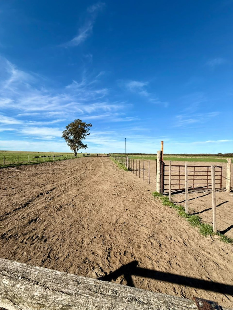 Campo  en Venta   Villalonga - Bahía Blanca Propiedades | SITIO OFICIAL l