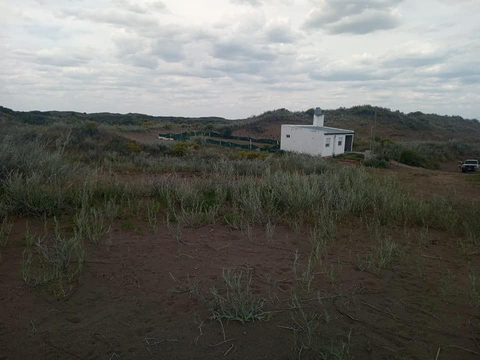 Terreno en Venta  El Sauce, Monte Hermoso - Bahía Blanca Propiedades | SITIO OFICIAL l
