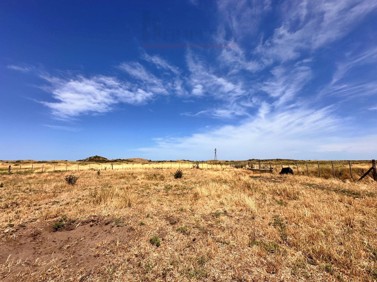 Campo  en Venta   Coronel Dorrego - Bahía Blanca Propiedades | SITIO OFICIAL l