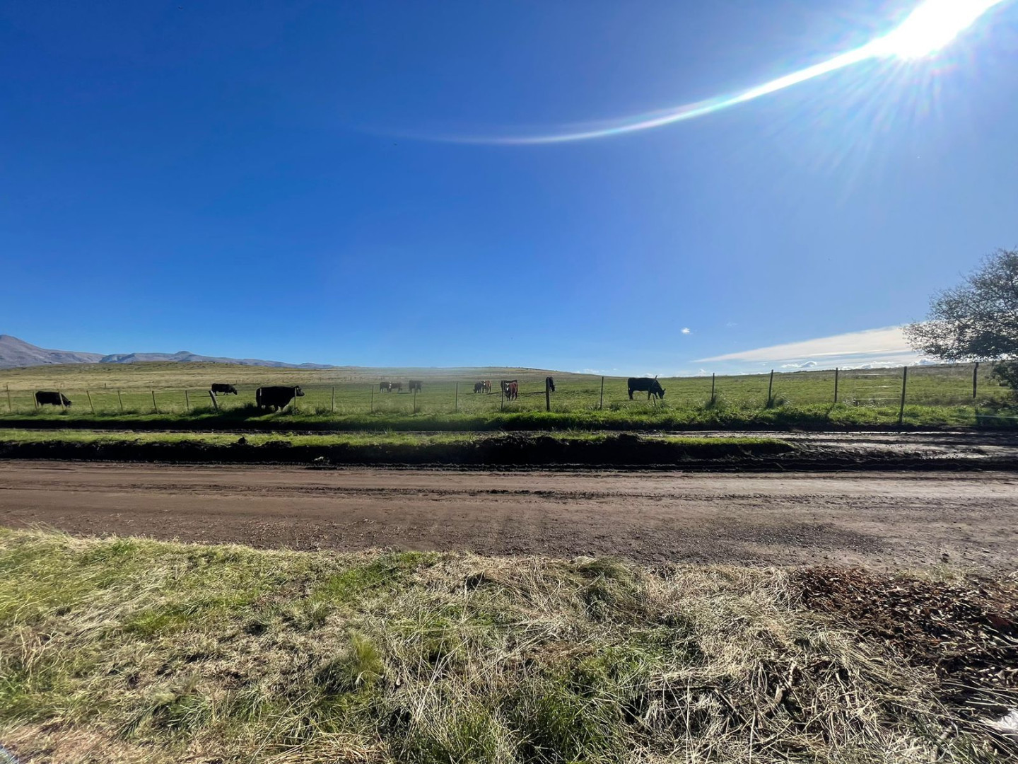 Terreno en Venta - Bahía Blanca Propiedades | SITIO OFICIAL l