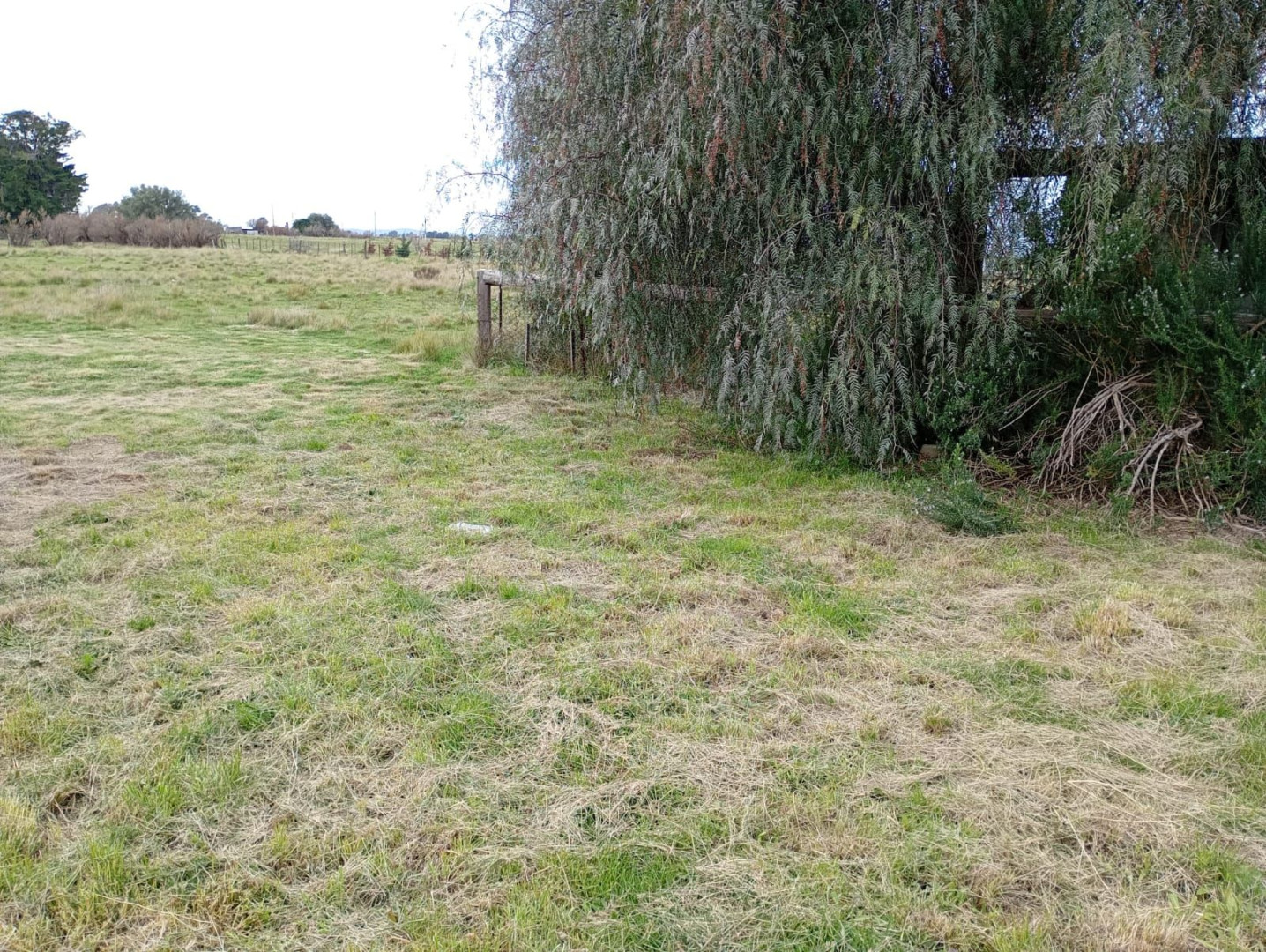 Terreno en Venta en Brown Sin Numero Cabildo,  Cabildo - Bahía Blanca Propiedades | SITIO OFICIAL l