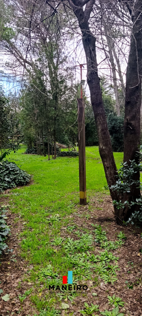 Cabaña en Venta en Piquito De Oro,  Villa Ventana - Bahía Blanca Propiedades | SITIO OFICIAL l