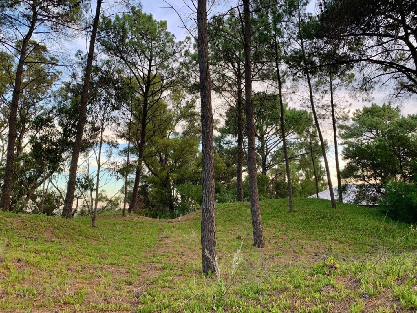 Terreno en Venta en Calle Laurel Y Jazmín, Las Lomas, Monte Hermoso - Bahía Blanca Propiedades | SITIO OFICIAL l