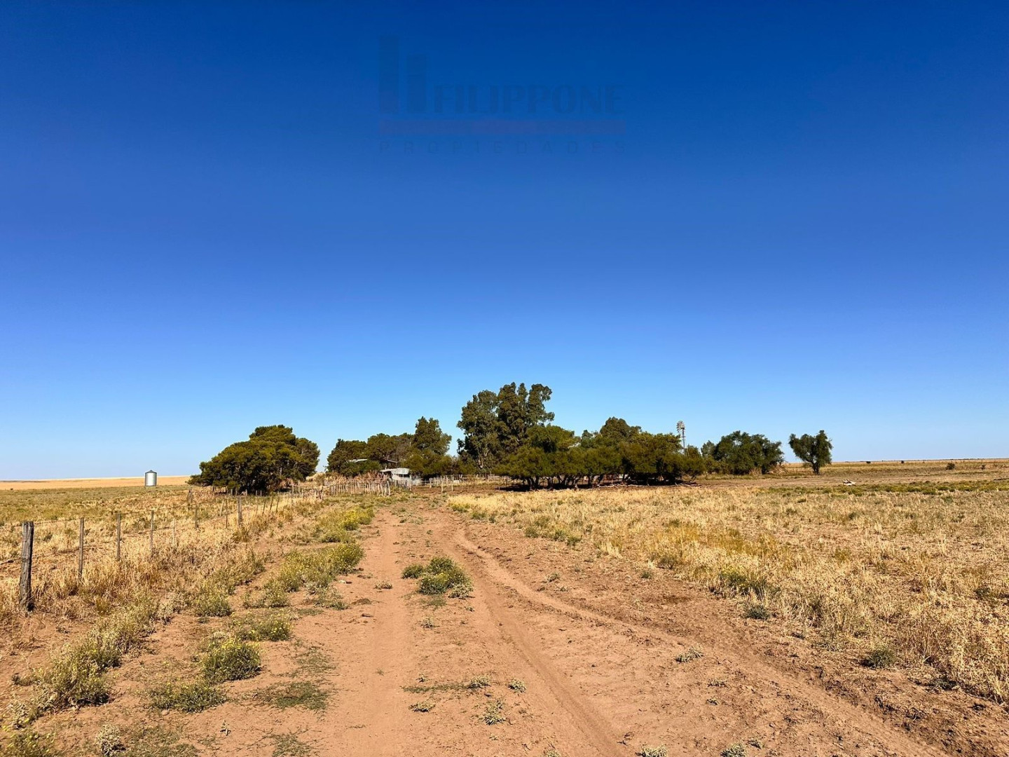 Campo  en Venta en Ruta 35,  Bahía Blanca - Bahía Blanca Propiedades | SITIO OFICIAL l