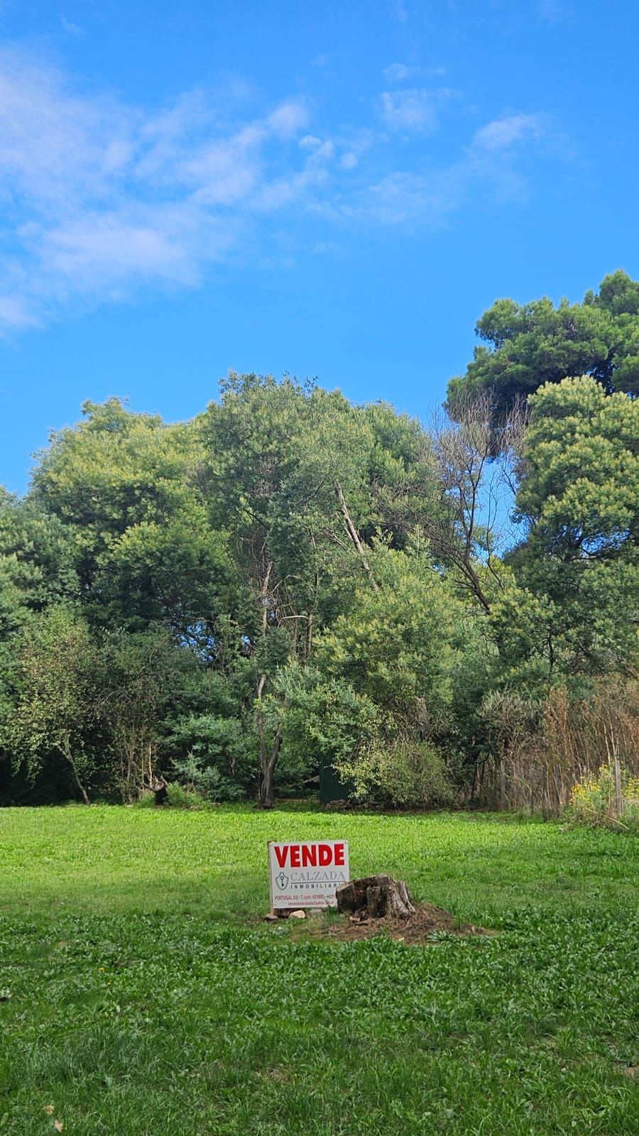 Terreno en Venta en Calle De Las Piedras Y Piquito,  Villa Ventana - Bahía Blanca Propiedades | SITIO OFICIAL l
