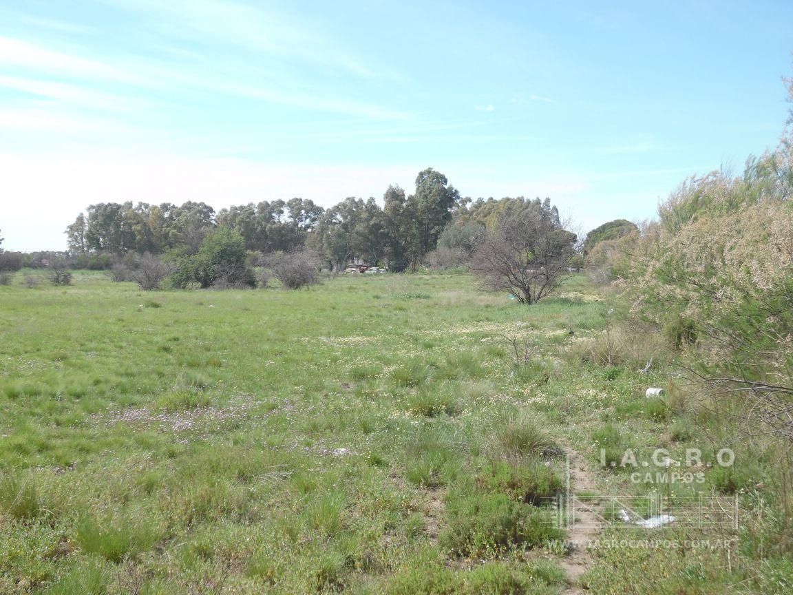 Terreno en Venta en Sixto Laspiur Y Ugarte,  Bahía Blanca - Bahía Blanca Propiedades | SITIO OFICIAL l