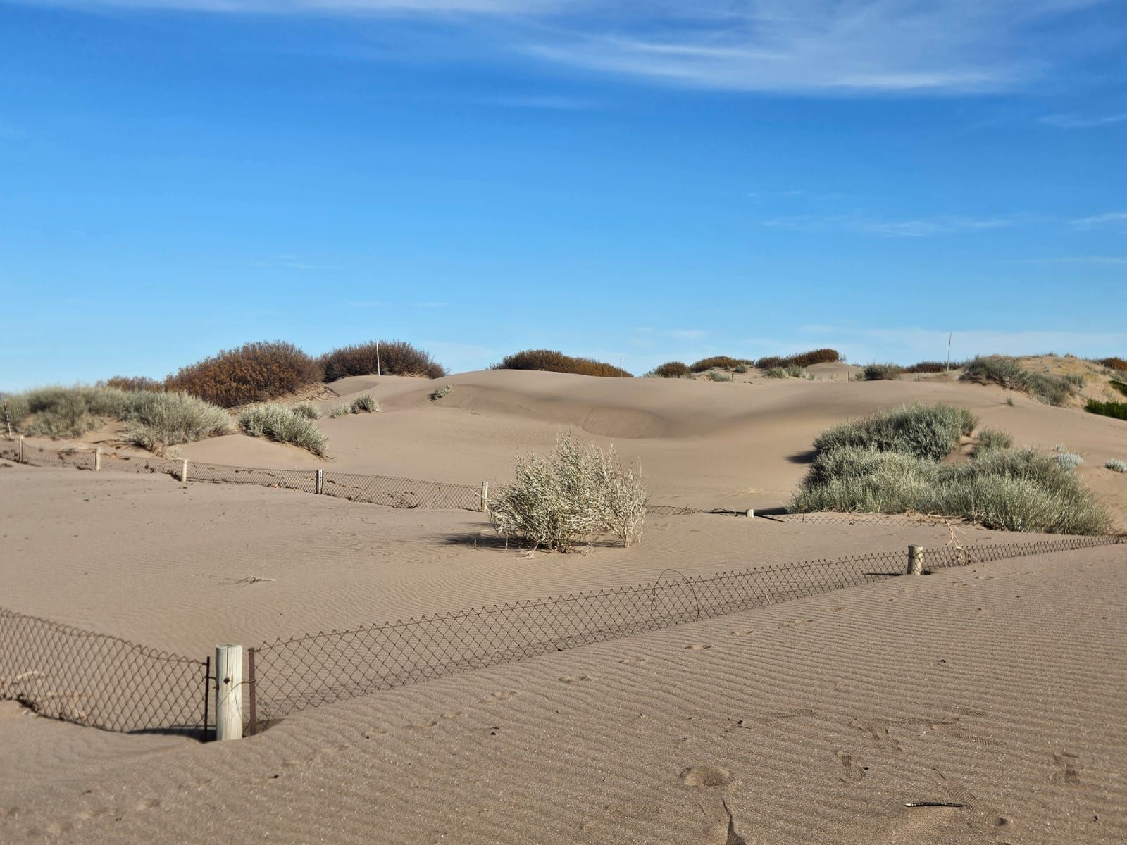 Terreno en Venta  El Sauce, Monte Hermoso - Bahía Blanca Propiedades | SITIO OFICIAL l