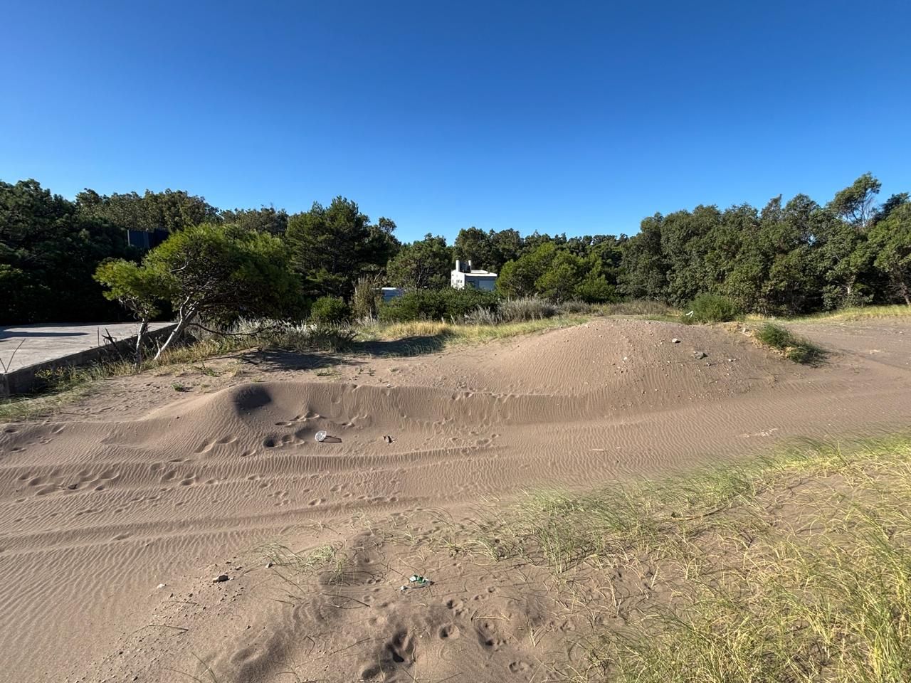 Terreno en Venta en Mar Del Plata Y Punta Alta, El Sauce, Monte Hermoso - Bahía Blanca Propiedades | SITIO OFICIAL l