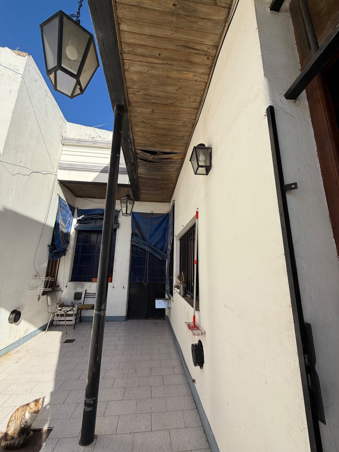 Casa en Venta en España 475, Centro, Bahía Blanca - Bahía Blanca Propiedades | SITIO OFICIAL l