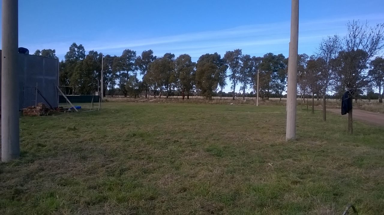 Terreno en Venta en Punta Alta Y Clegg, San Ignacio, Bahía Blanca - Bahía Blanca Propiedades | SITIO OFICIAL l