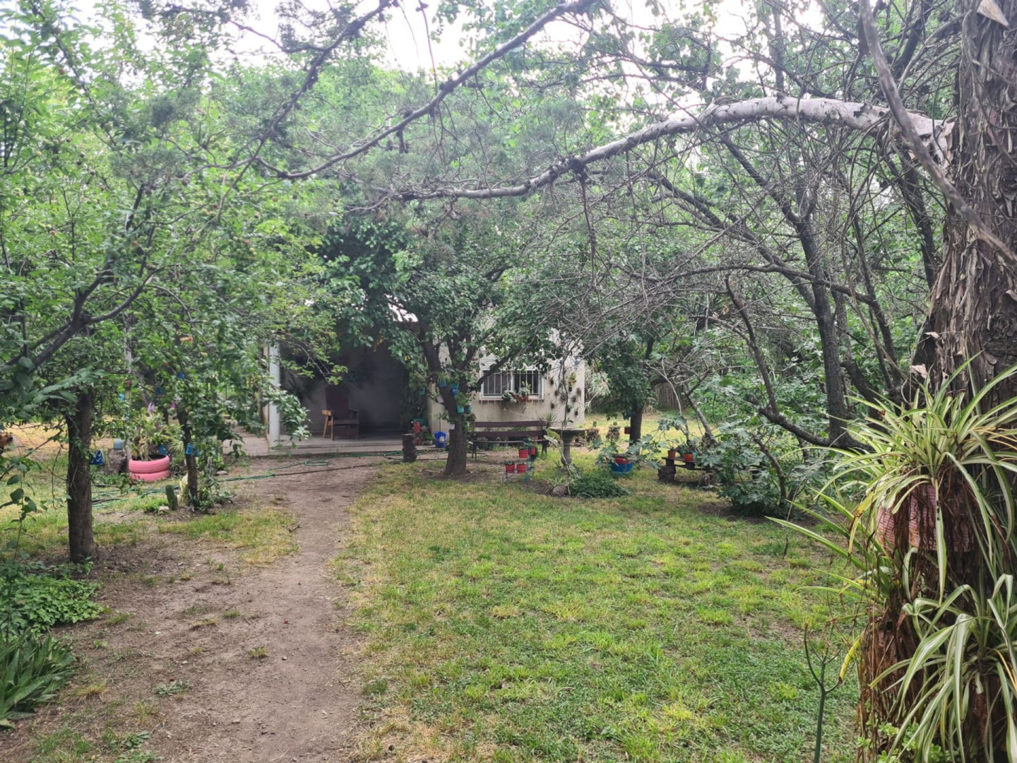 Casaquinta en Venta en General Artigas 600,  General Cerri - Bahía Blanca Propiedades | SITIO OFICIAL l