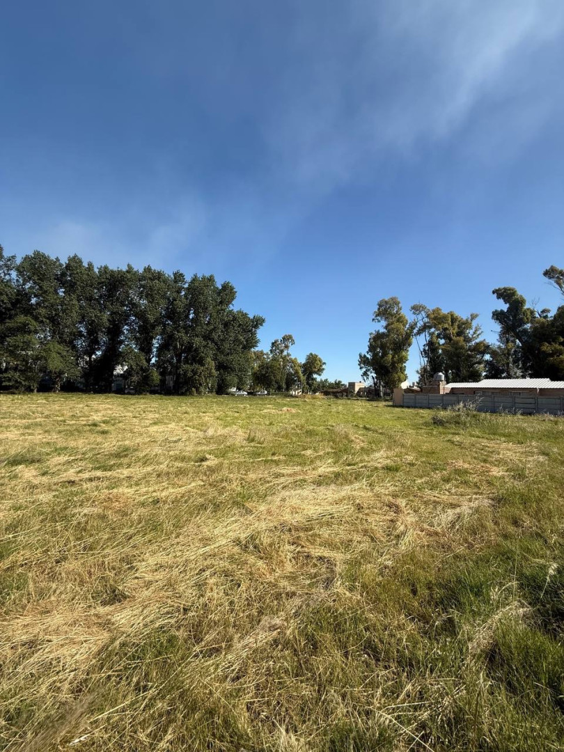 Terreno en Venta en Avenida Arias 1600, Rosario Vera Peñaloza , Bahía Blanca - Bahía Blanca Propiedades | SITIO OFICIAL l