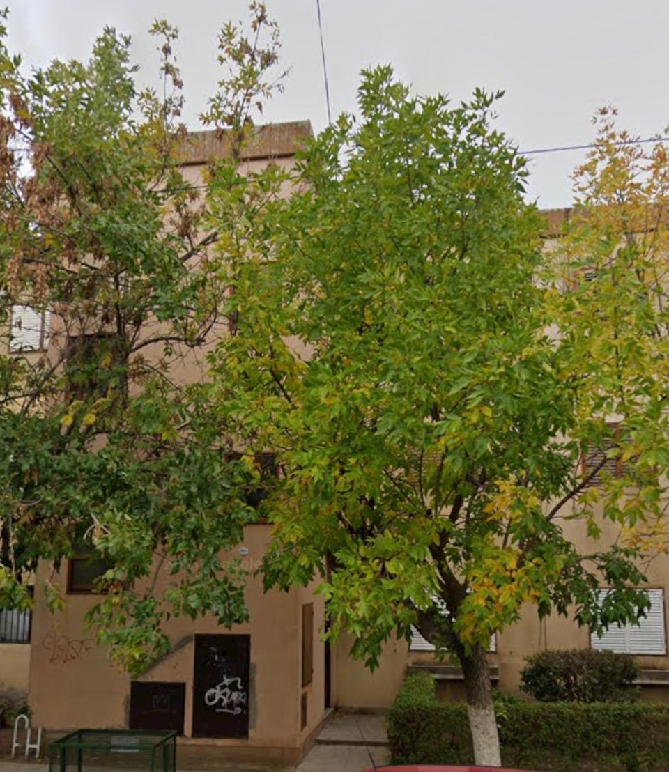 Departamento en Alquiler en  San Lorenzo 2843, Rosendo Lopez, Bahía Blanca - Bahía Blanca Propiedades | SITIO OFICIAL l