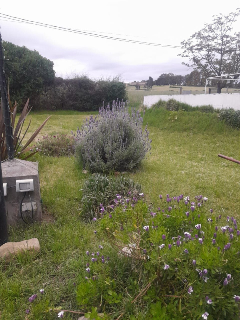 Casaquinta en Venta en Los Nogales Y Rawson, San Miguel, Bahía Blanca - Bahía Blanca Propiedades | SITIO OFICIAL l