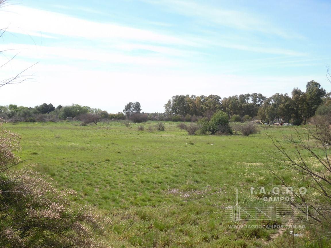 Terreno en Venta en Sixto Laspiur Y Ugarte,  Bahía Blanca - Bahía Blanca Propiedades | SITIO OFICIAL l