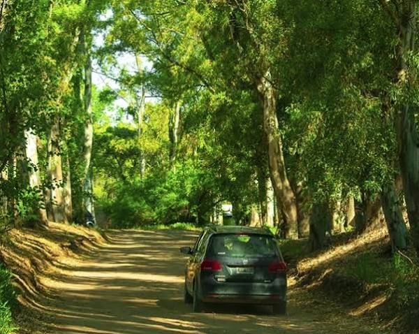 Terreno en Venta en Mar Del Plata Y Playa Grande , El Sauce, Monte Hermoso - Bahía Blanca Propiedades | SITIO OFICIAL l