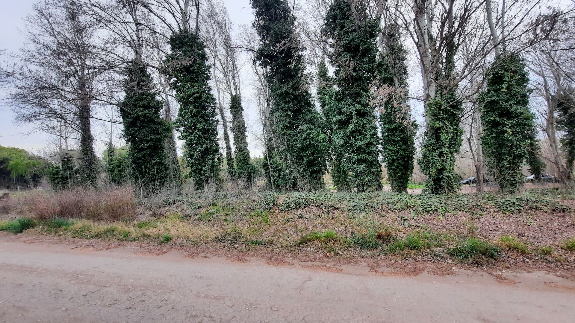 Terreno en Venta en Del Arroyo 300,  Sierra de  la Ventana - Bahía Blanca Propiedades | SITIO OFICIAL l