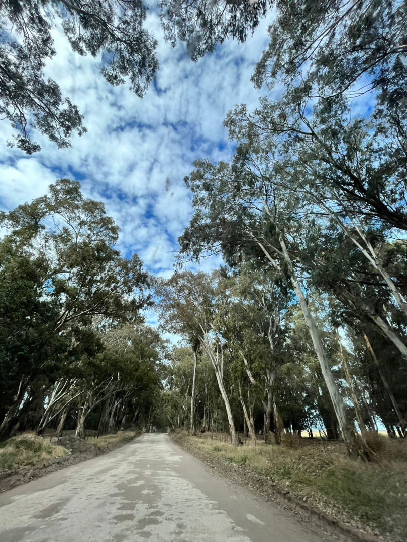 Terreno en Venta en TUCUMAN ESQUINA LA RIOJA,  Coronel Dorrego - Bahía Blanca Propiedades | SITIO OFICIAL l