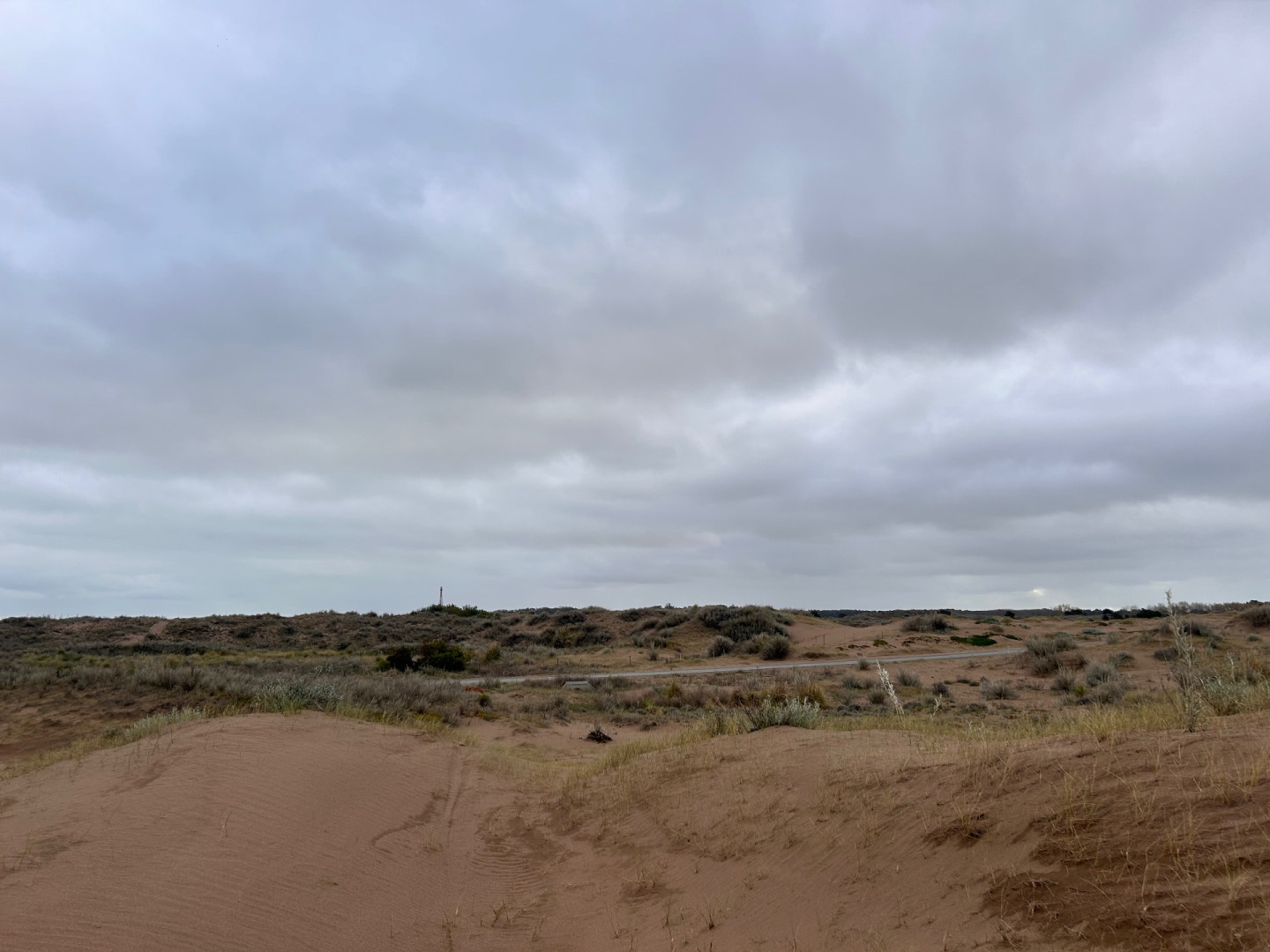 Terreno en Venta en Puleston Entre Magdalena Y San Boronbom, El Sauce, Monte Hermoso - Bahía Blanca Propiedades | SITIO OFICIAL l