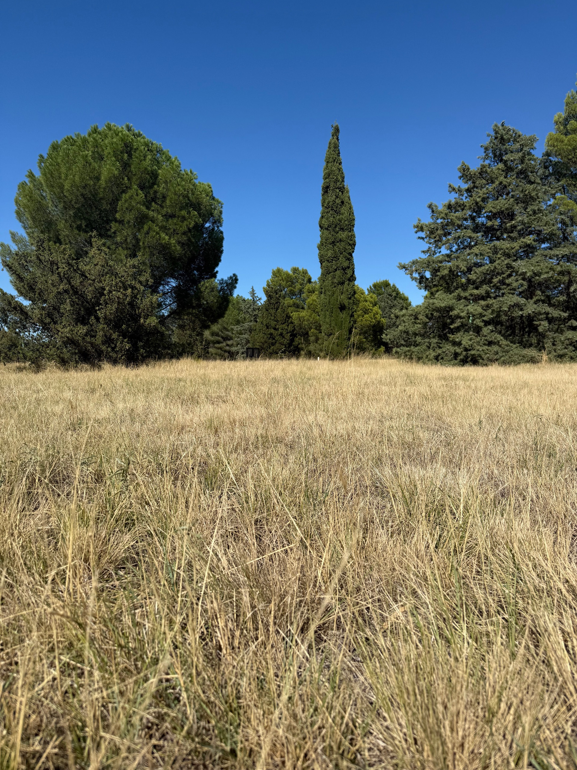 Terreno en Venta  Los Mirasoles, Bahía Blanca - Bahía Blanca Propiedades | SITIO OFICIAL l