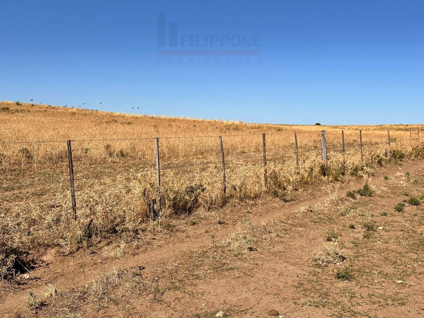 Campo  en Venta en Ruta 35,  Bahía Blanca - Bahía Blanca Propiedades | SITIO OFICIAL l
