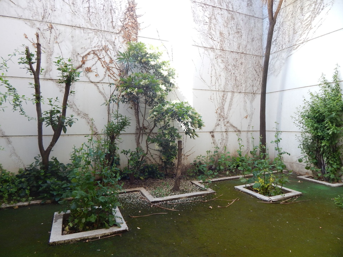 Oficina en Venta en MITRE 585, Centro, Bahía Blanca - Bahía Blanca Propiedades | SITIO OFICIAL l